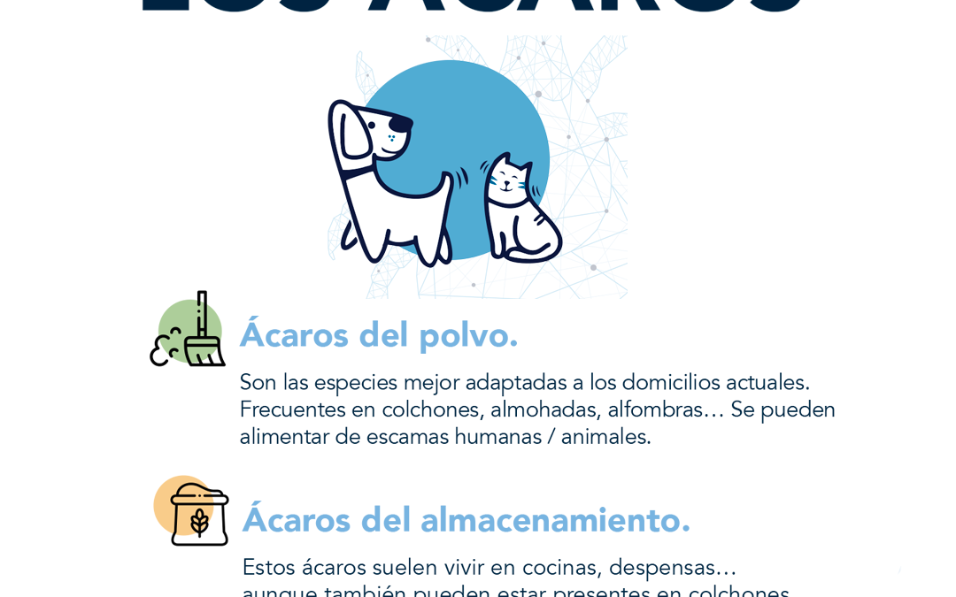 Consejos para minimizar los ácaros en el entorno de tu mascota