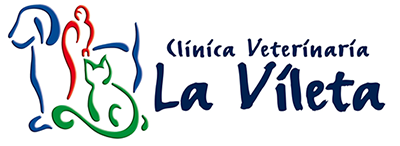 Clinica La Vileta