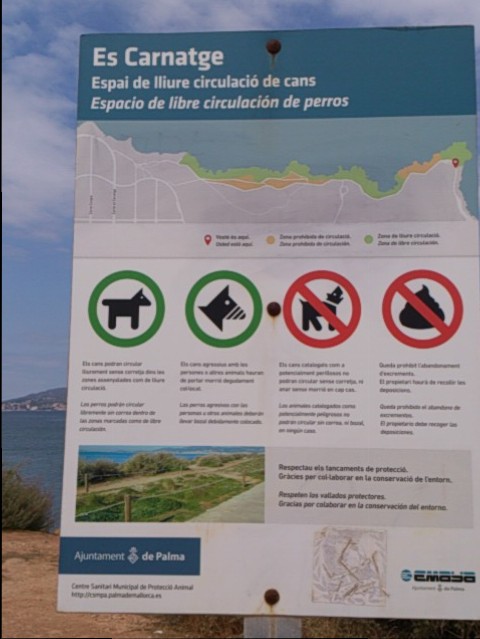 playas en mallorca para perros