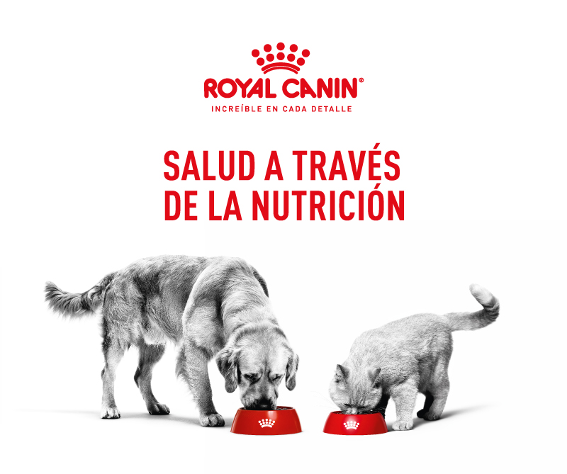 nutricion royal canin mallorca