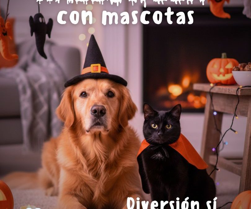 🎃 Halloween y mascotas: cómo celebrar con seguridad y cuidado