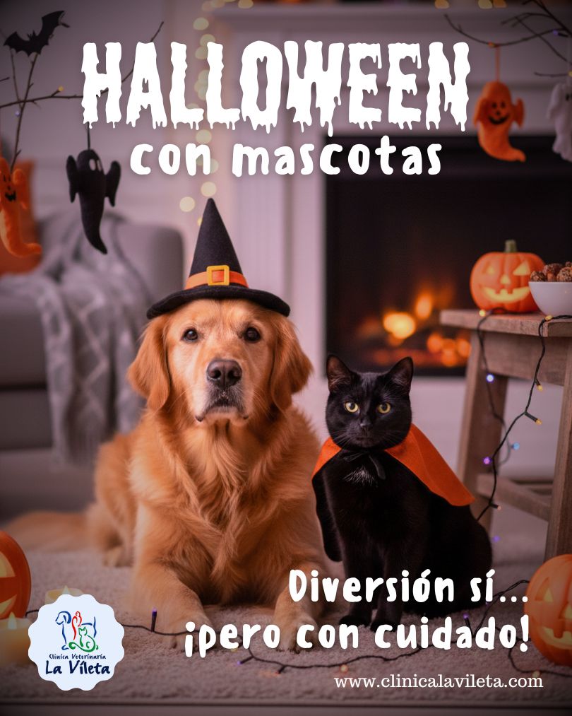 halloween seguro para mascotas